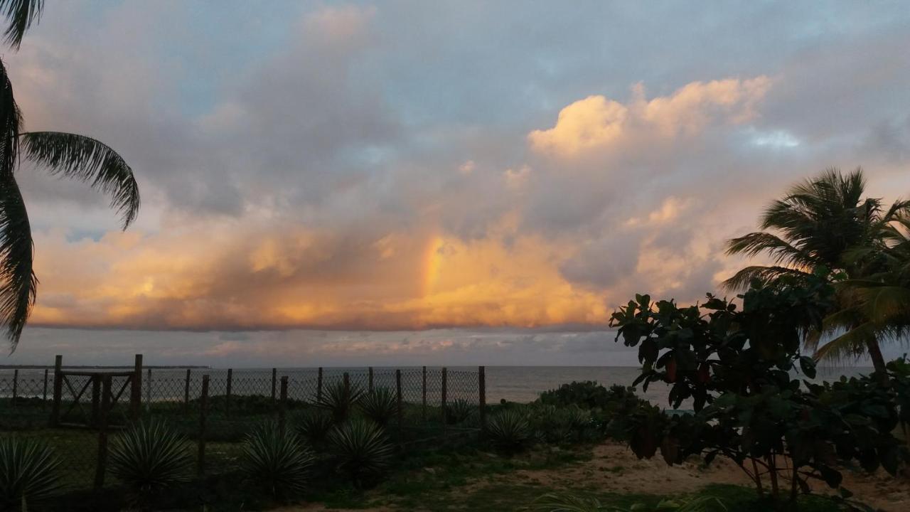 Bungalow frente a Praia Itacimirim Esterno foto